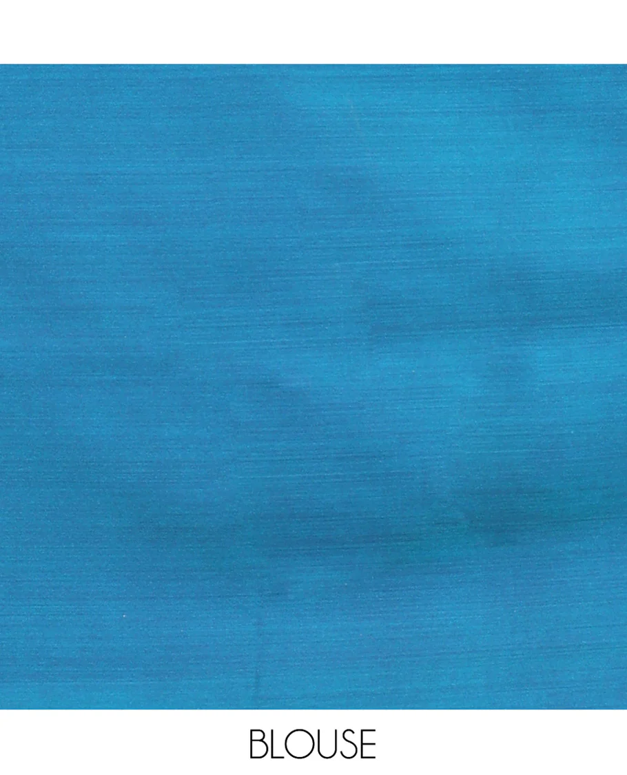 Blue Banarasi Silk Saree, Majestically Detailed with Floral and Animal Motifs on Its Body, Highlighted by a Self-Border of Traditional Designs, Pallu of Stripes, and Paired with a Matching Blouse - Image 5
