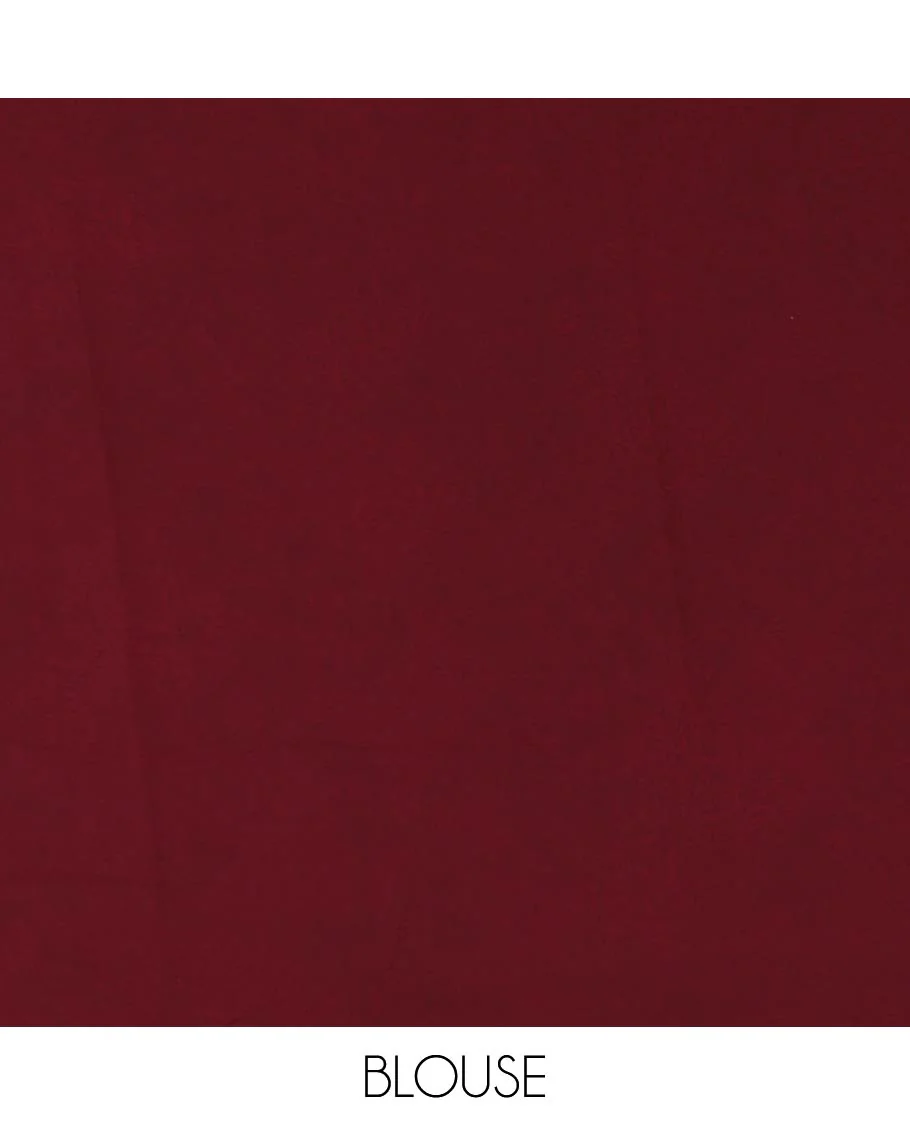 Maroon kaleidoscopic-colored checks mill-printed kimaya saree, contrast plain border & paisley & geometric printed pallu - Image 4