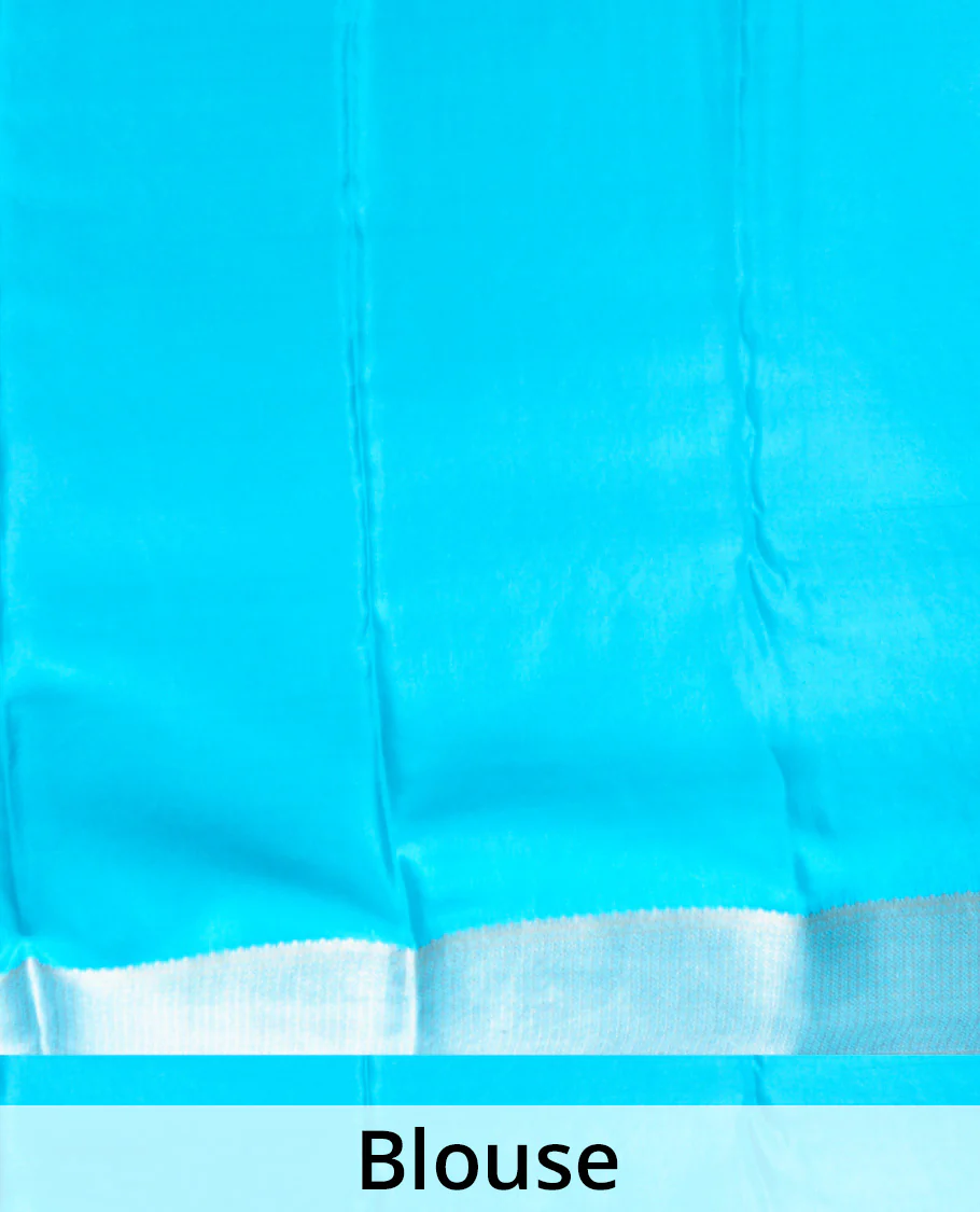 Pink jaal jacquard Mysore silk saree, contrast zari border, and pallu of chevron designs - Image 5