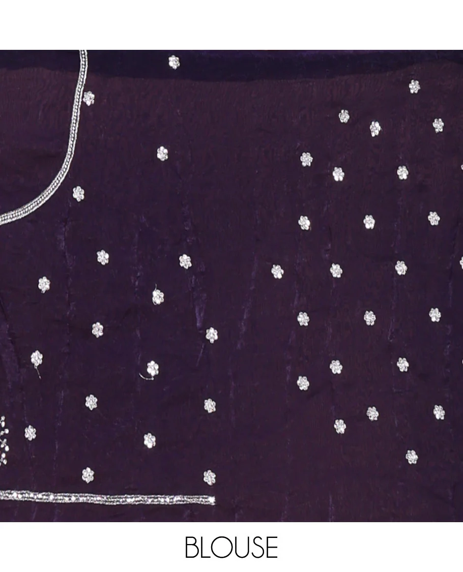 Violet half-saree, buttas, tree, and peacock motifs embroidered semi-taffeta silk top, matching blouse, and contrast scallop embroidered dhavani - Image 4